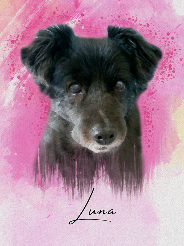 Hund LUNA - 01.10.2018