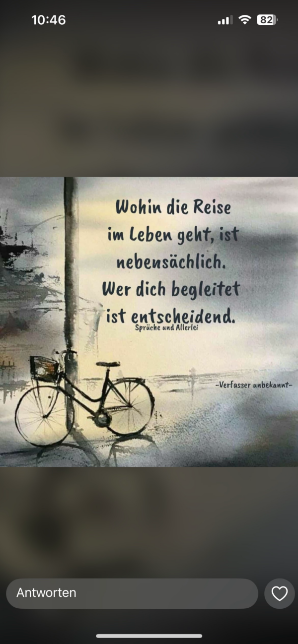 Pferd Crianza - 17.09.2022